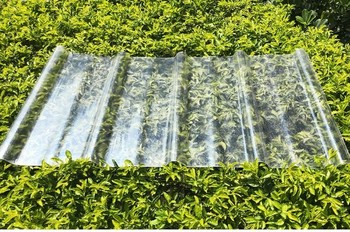 Solid Sheet Reinforced Polycarbonate Sheet for Greenhouse